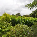 Quinta Da Pera Rocha Bed & Breakfast Alcobaça