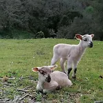 Quinta Da Pera Rocha