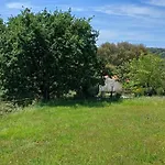 Quinta Da Pera Rocha Alcobaça