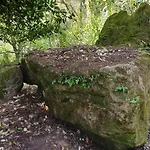 Quinta Da Pera Rocha 阿尔科巴萨