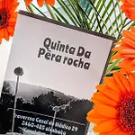 Quinta Da Pera Rocha 住宿加早餐酒店