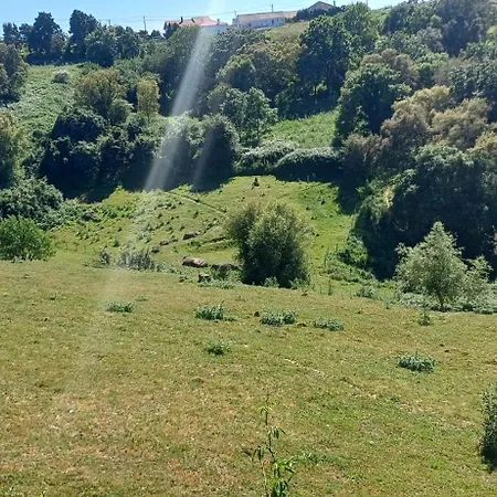 לינה וארוחת בוקר Quinta Da Pera Rocha *