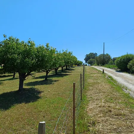 Quinta Da Pera Rocha Bed & Breakfast Alcobaça