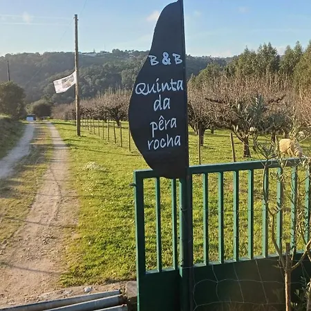 Quinta Da Pera Rocha 4* Alcobaca