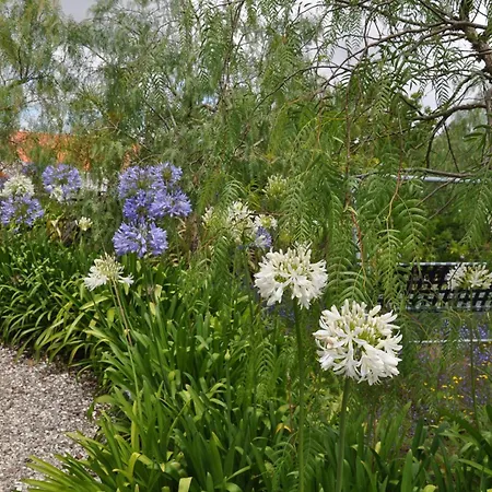 Quinta Da Pera Rocha Alcobaça