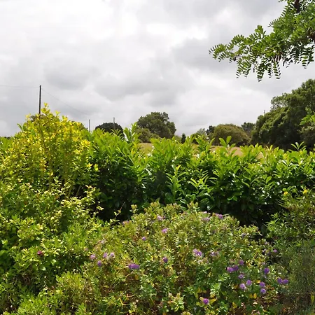 Quinta Da Pera Rocha Bed and Breakfast Alcobaça