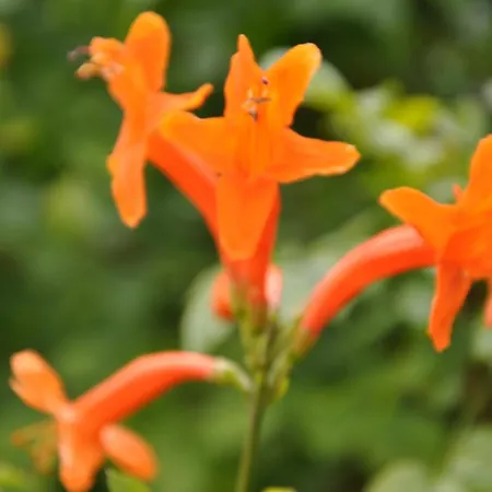 Bed & Breakfast Quinta Da Pera Rocha