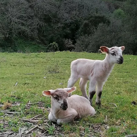 Quinta Da Pera Rocha