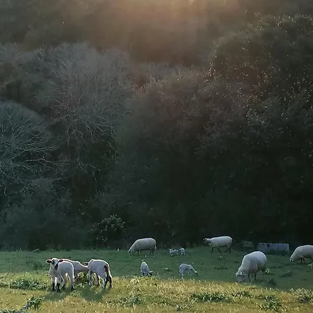 Quinta Da Pera Rocha Alcobaça