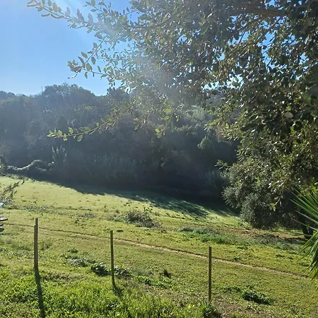 Quinta Da Pera Rocha Bed & Breakfast Alcobaça