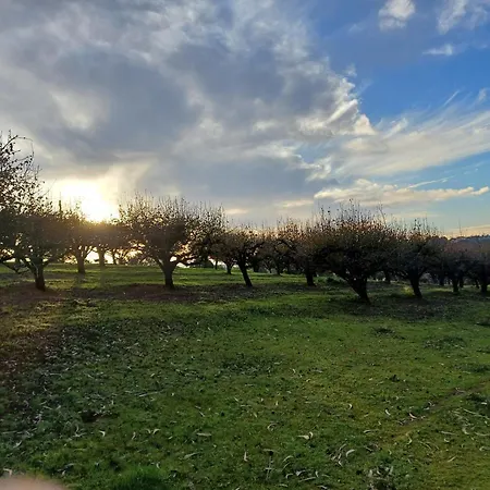 Quinta Da Pera Rocha