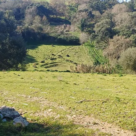 Quinta Da Pera Rocha Bed & Breakfast Alcobaça