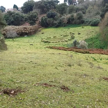 Quinta Da Pera Rocha Bed and Breakfast