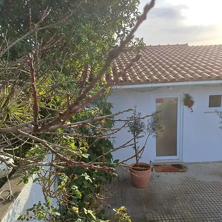 לינה וארוחת בוקר Quinta Da Pera Rocha אלקובאקה