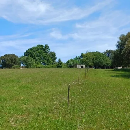 Quinta Da Pera Rocha Bed & Breakfast