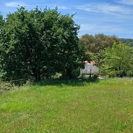 Quinta Da Pera Rocha אלקובאקה