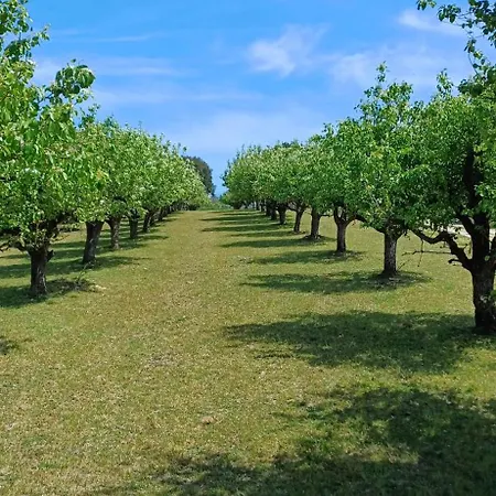 Quinta Da Pera Rocha Bed & Breakfast Alcobaça