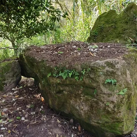 Quinta Da Pera Rocha Alcobaça