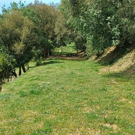 Quinta Da Pera Rocha Bed & Breakfast 3*