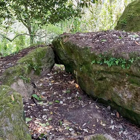 Quinta Da Pera Rocha לינה וארוחת בוקר אלקובאקה
