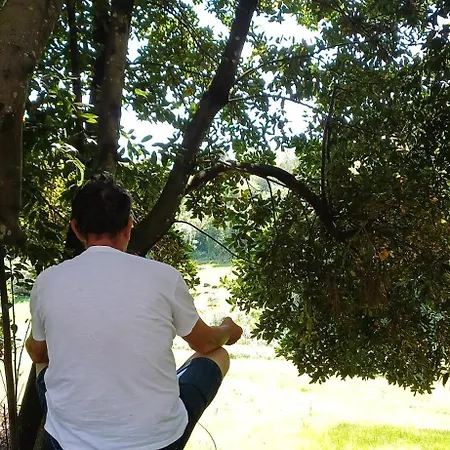Quinta Da Pera Rocha 4* Alcobaça