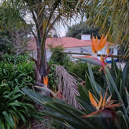 Bed and Breakfast Quinta Da Pera Rocha