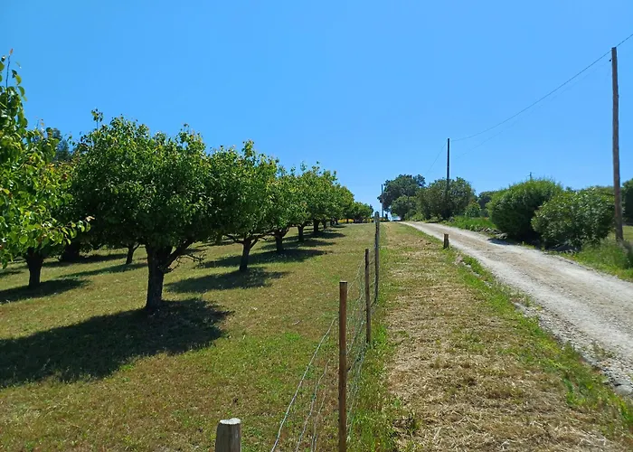 Quinta Da Pera Rocha Bed & Breakfast Alcobaça