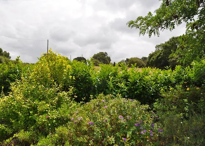 Quinta Da Pera Rocha Bed & Breakfast Alcobaça