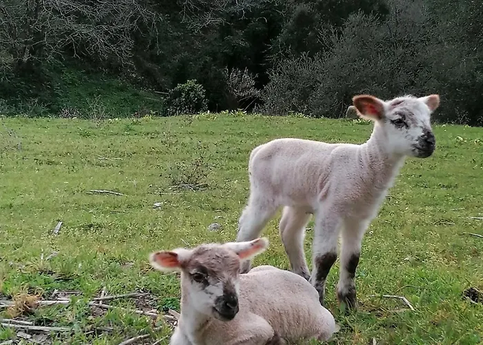 Quinta Da Pera Rocha