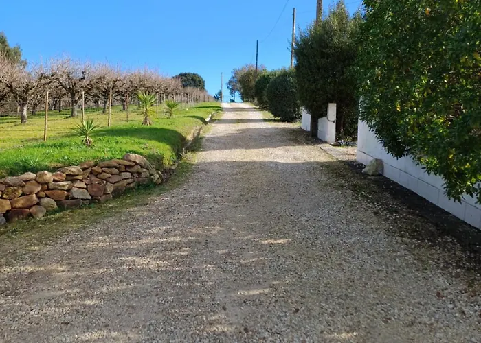 Quinta Da Pera Rocha Bed & Breakfast Alcobaça