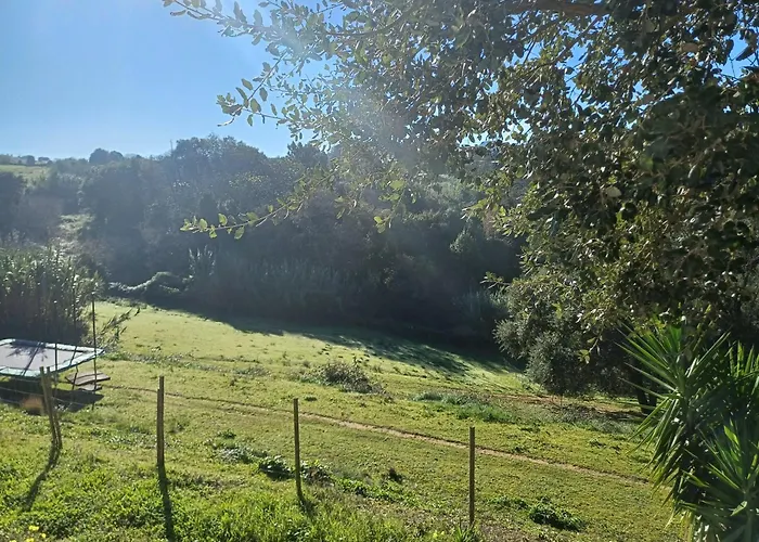 Quinta Da Pera Rocha Bed & Breakfast Alcobaça