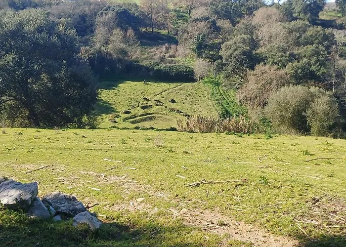 Quinta Da Pera Rocha Bed & Breakfast Alcobaça