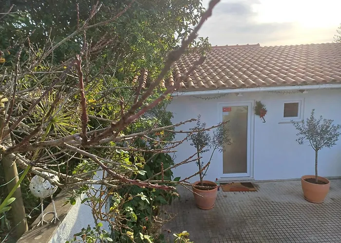 Bed & Breakfast Quinta Da Pera Rocha Alcobaça