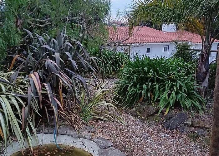 Bed & Breakfast Quinta Da Pera Rocha