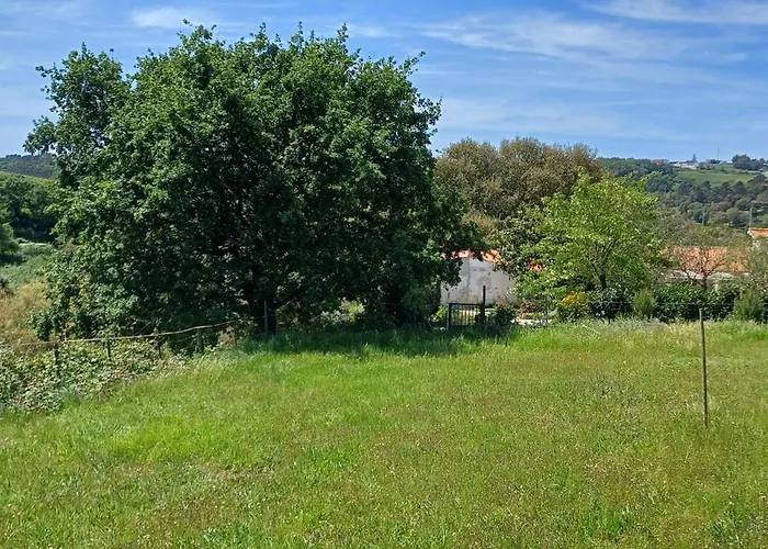 Quinta Da Pera Rocha Alcobaça