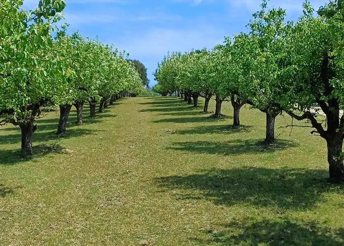 Quinta Da Pera Rocha Bed & Breakfast Alcobaça