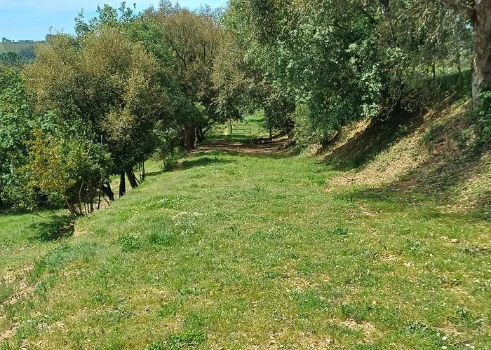 Quinta Da Pera Rocha Bed & Breakfast 3*