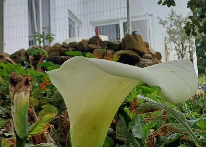 Bed & Breakfast Quinta Da Pera Rocha