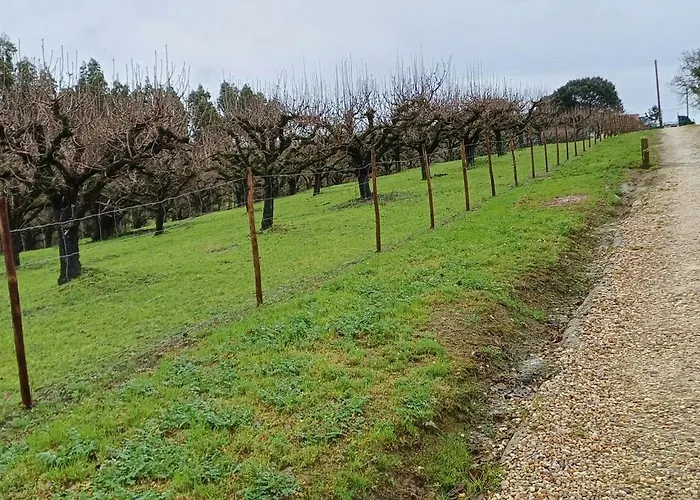 Quinta Da Pera Rocha 3*
