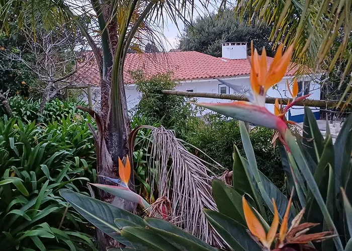 Bed & Breakfast Quinta Da Pera Rocha